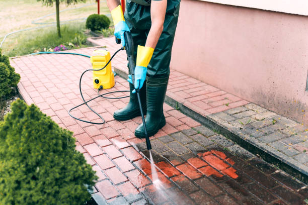 Best Building Exterior Washing  in Roosevelt Gardens, FL