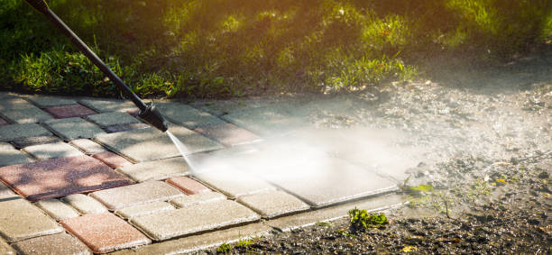 Best Animal Enclosure Cleaning  in Roosevelt Gardens, FL