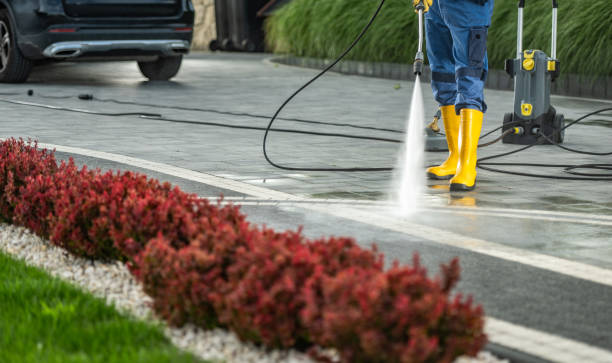 Professional Pressure Washing Services in Roosevelt Gardens, FL