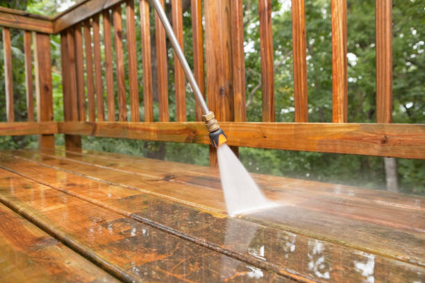 Best Driveway Pressure Washing  in Roosevelt Gardens, FL