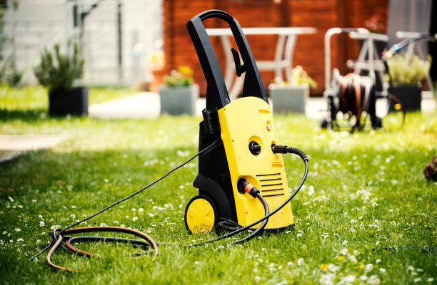 Animal Enclosure Cleaning in Roosevelt Gardens, FL